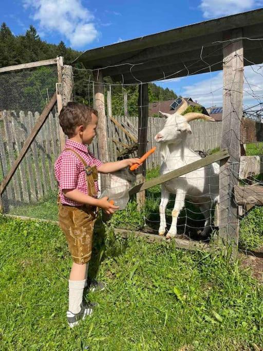 Charmantes Ferienhaus In Bester Lage Keutschach am See Zewnętrze zdjęcie